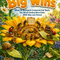 E-BOOK : Tiny Workers, Big Wins